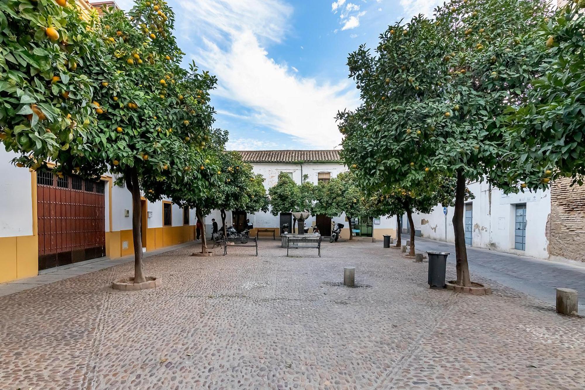 Apartmán Bhost - Yayo Pepe Córdoba Exteriér fotografie